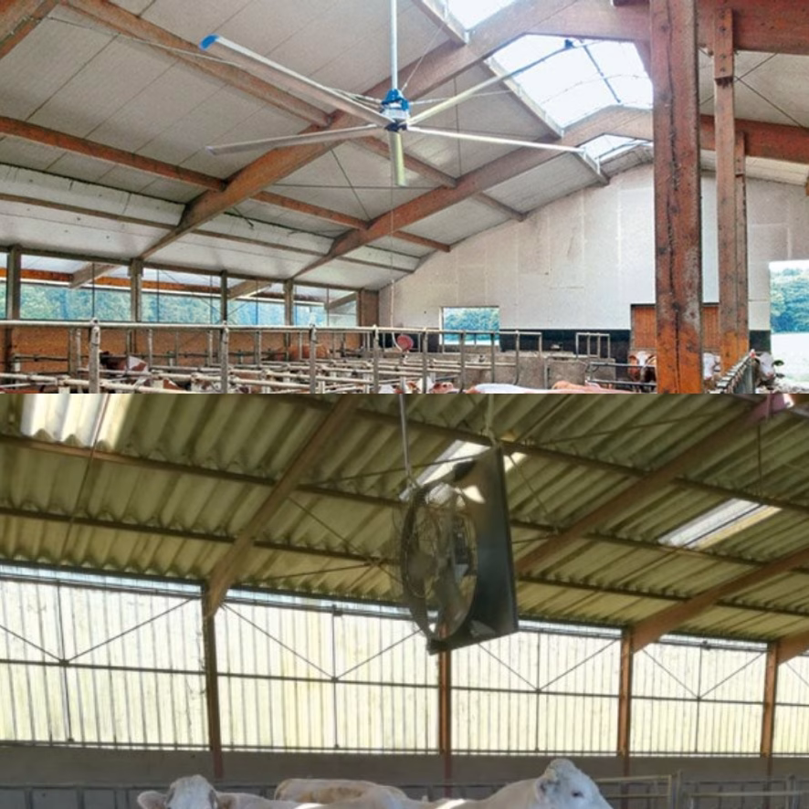 Ventilateur APM en marche